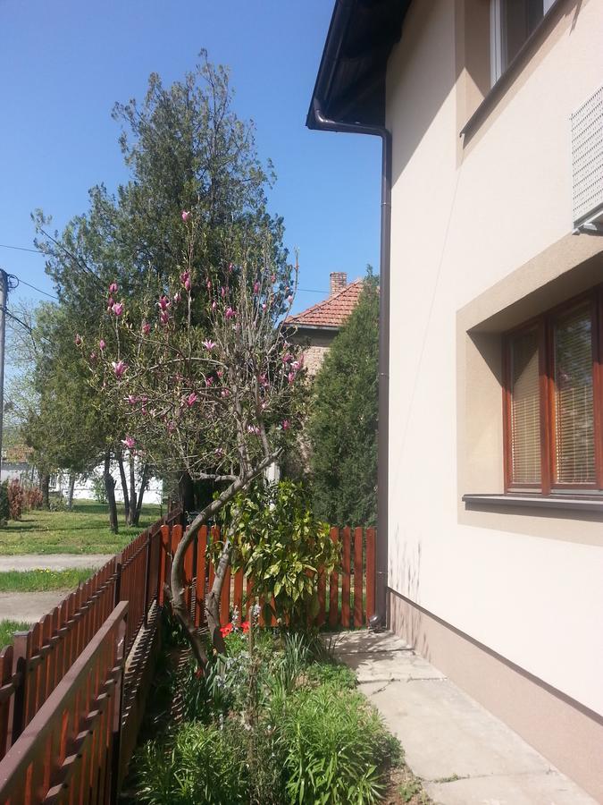 Sweet Dreams Apartment Arandjelovac Exterior foto